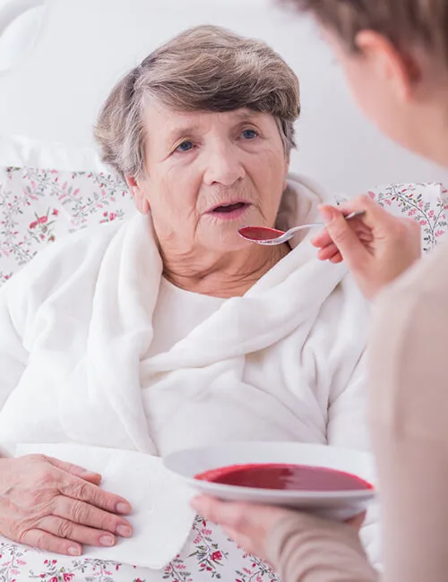 A carer with a client in a comfortable home setting